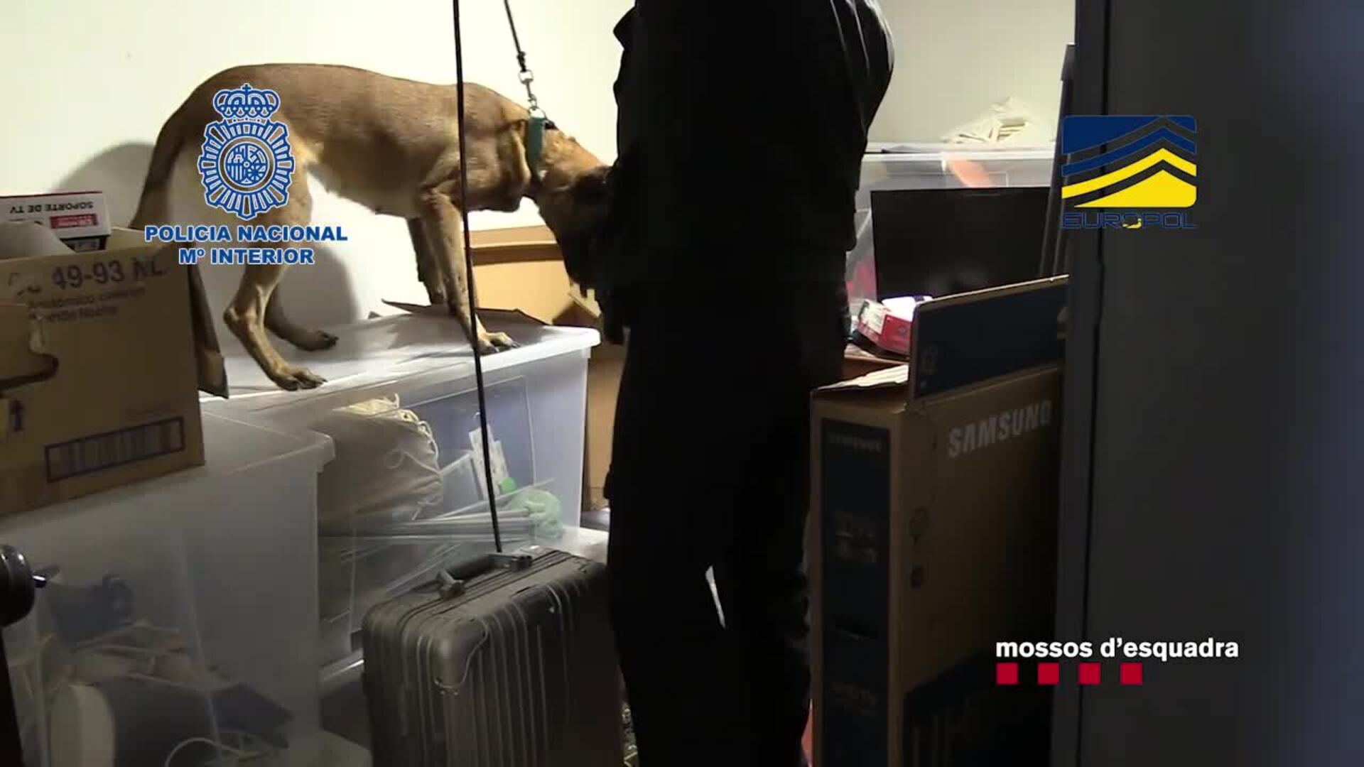 Spanish police arrest 12 people suspected of forging more than eight million 500-euro bank notes