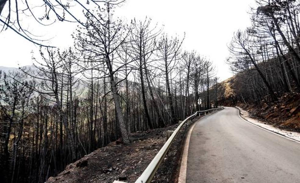 Three million euros assigned to repair roads affected by the Sierra Bermeja fire