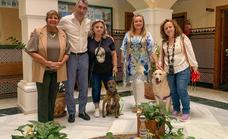 Benalmádena town hall allows access to dogs in all municipal buildings