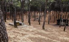 Torremolinos starts repair and improvement of popular picnic and barbecue area in pine forest