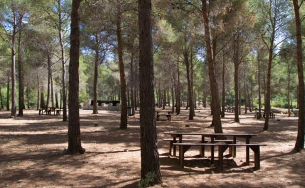 Town hall awards contract to update popular Nerja recreation area and sports facilities