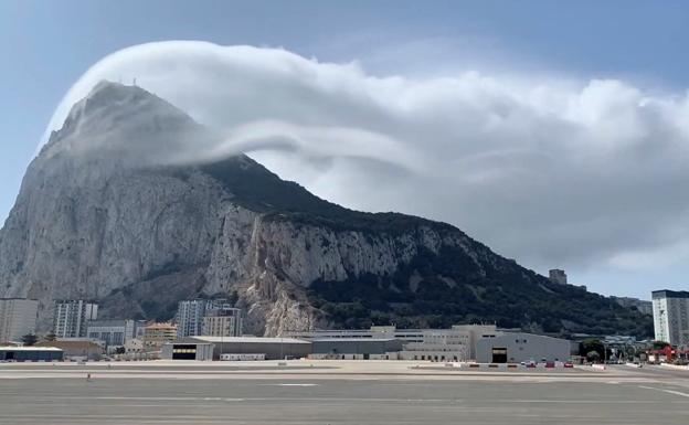 Operation Rocky Pigeon tested radiation response