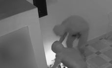Hooded thieves target laundry in Torremolinos and make a clean getaway