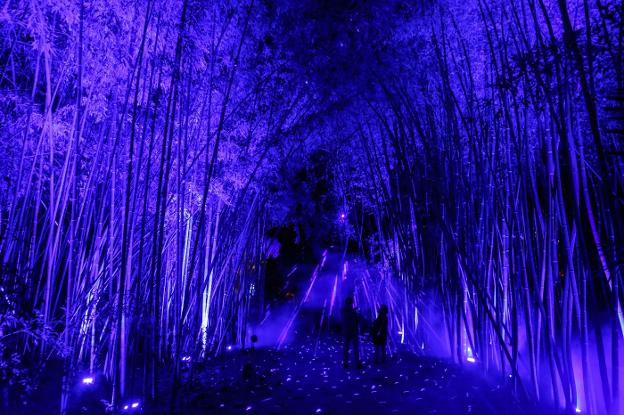 Costa del Sol towns get ready to switch on their Christmas lights