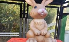 Missing Parauta rabbit remains at large