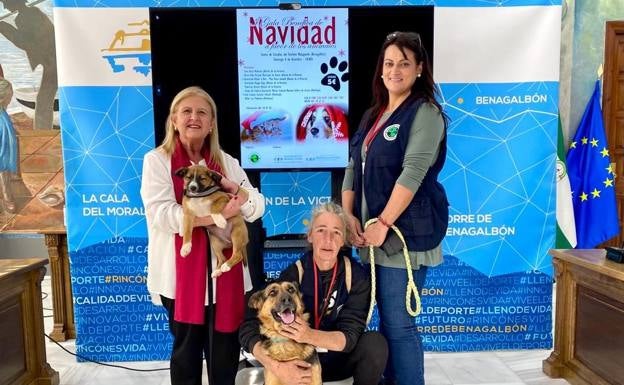 A Christmas gala for animals in Rincón de la Victoria