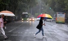 Heavy rain forecast for all Andalusian provinces on Thursday