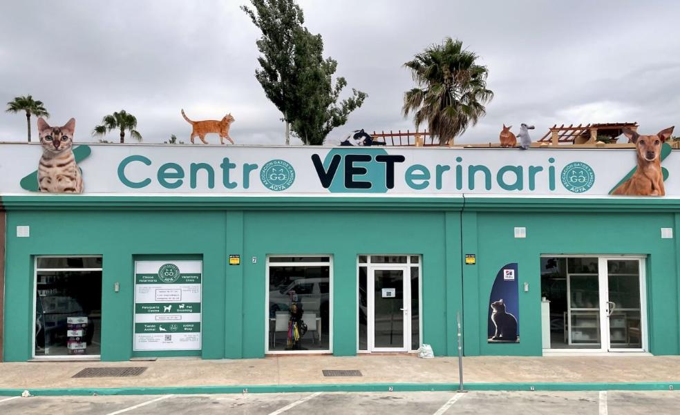 A place to care for the Costa's cats