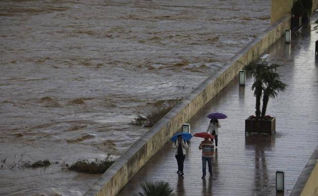 Storm Efraín brings good news for drought-stricken Axarquía