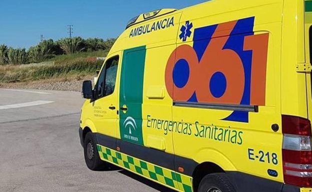 Suicides, heart attacks and accidental falls, among the increasing causes of death in Malaga