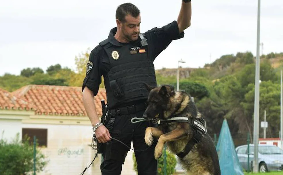 Officer Álvaro Díaz: “the dogs think it’s a game” /M. Rivas
