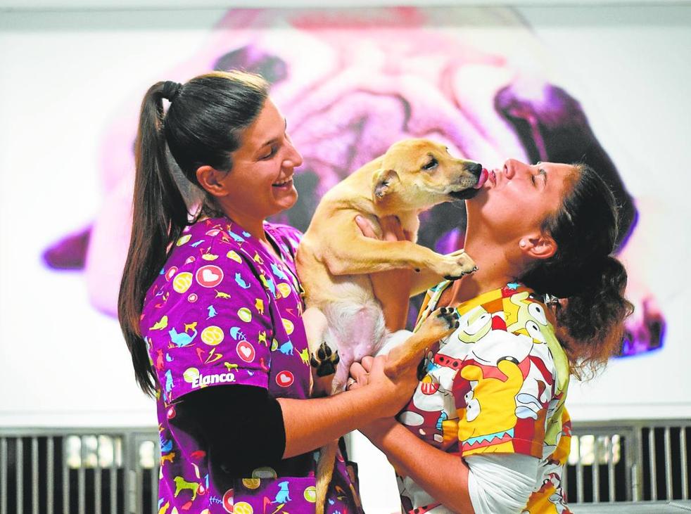 Yeneva and Jennifer play with one of the dogs waiting to be adopted. 