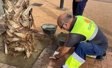 One thousand trees in Fuengirola now have plaques that promote care for the environment among children