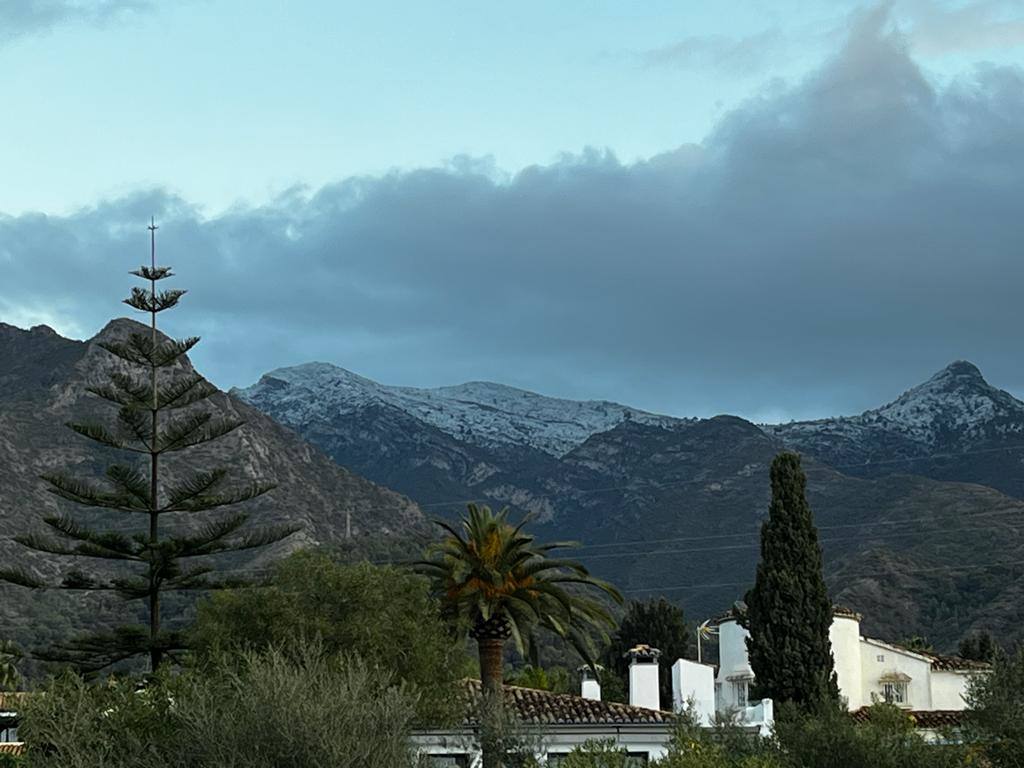 Snow blankets various parts of Malaga province... in pictures