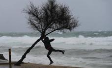 Amber warning on the Costa del Sol for gusts of wind up to 90 kilometres per hour on Friday