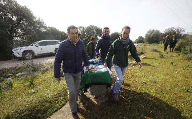 Native Iberian lynx could be taken off Spain's endangered species list