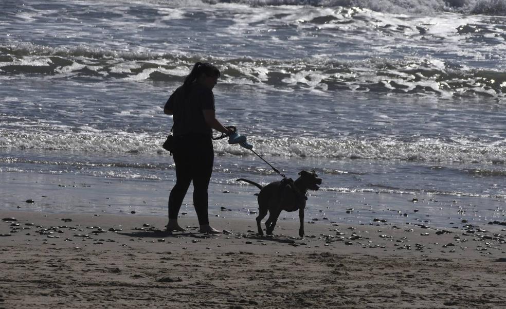 The anonymity of dog walking