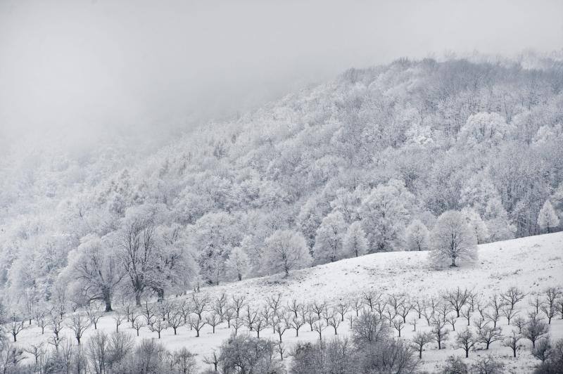 Europa y España bajo la nieve