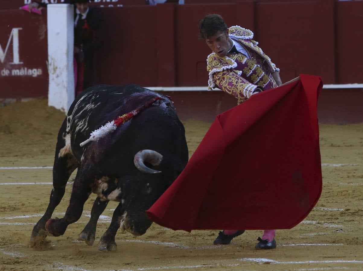 Adame triunfa en Málaga, oreja para Escribano y grave cornada a Amores