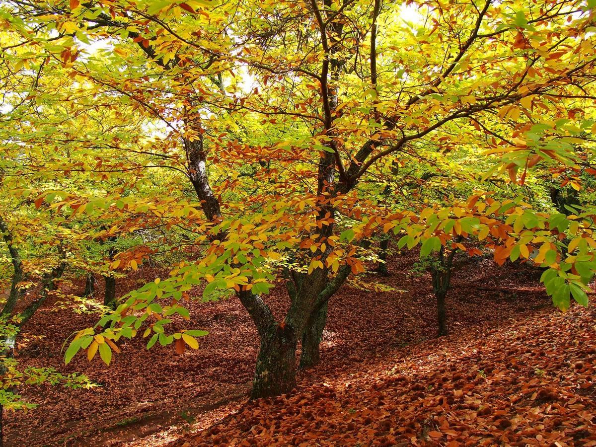 Los colores del Valle del Genal