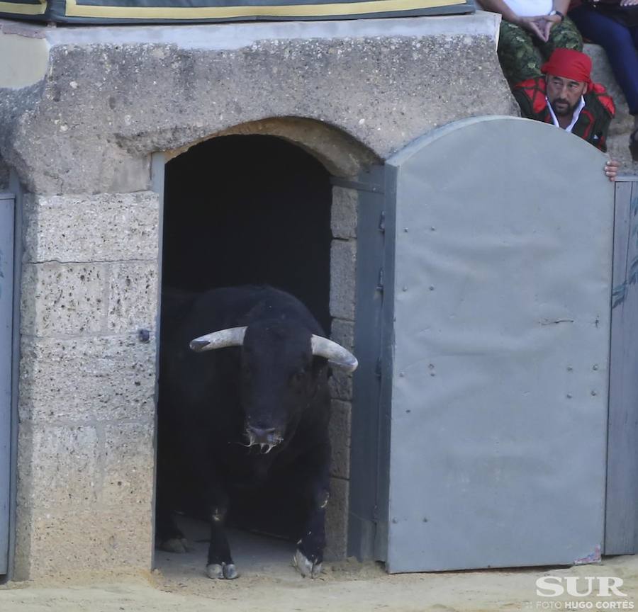 La Goyesca de Ronda, en imágenes
