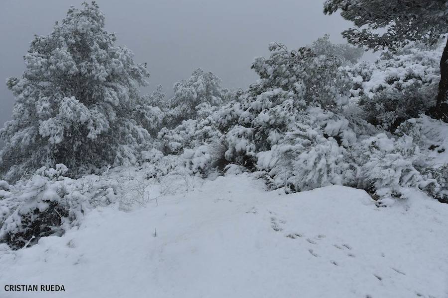 La nieve cubre otros puntos de la provincia, principalmente del interior