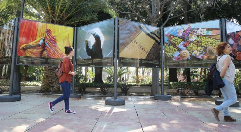 Fotos de la exposición 'Gestos para salvar el planeta' en Málaga