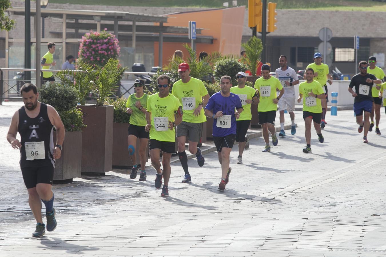 Las mejores fotos de la segunda Carrera de la Prensa de Málaga (II)