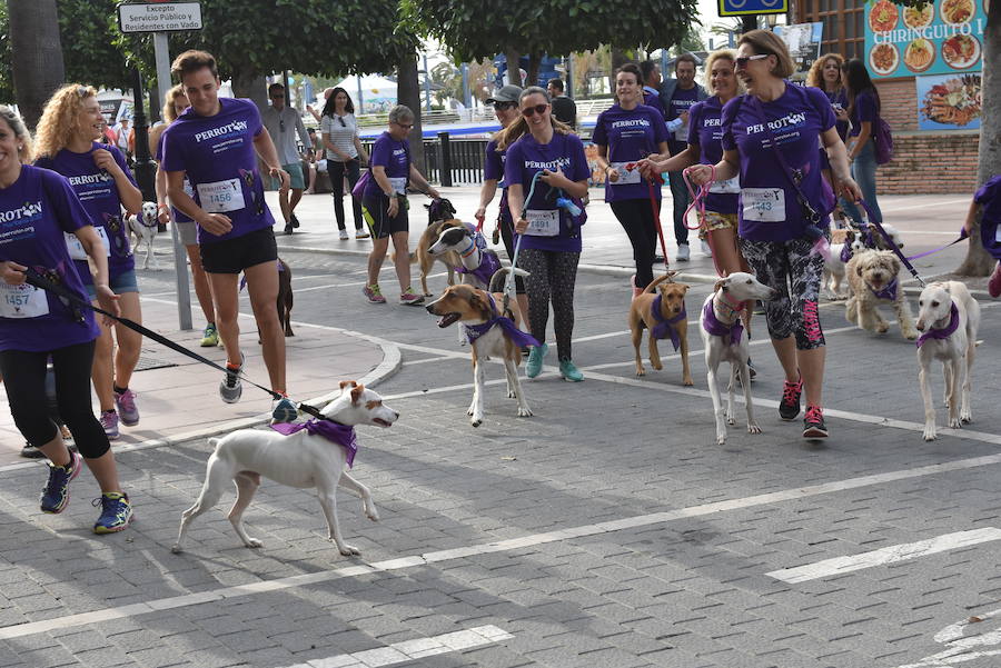 La primera edición andaluza del Perrotón, en Marbella, en fotos