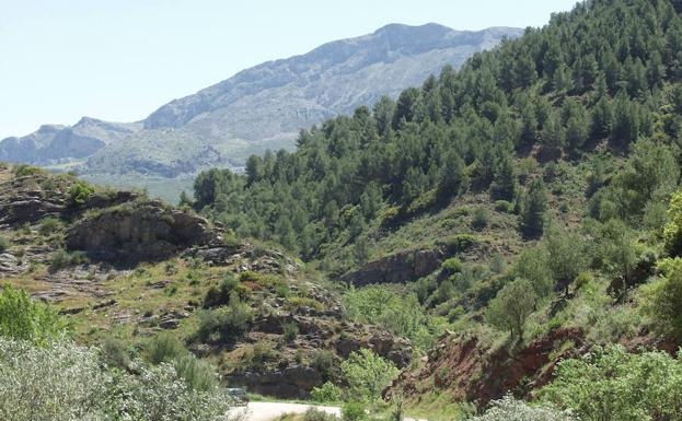Ruta fluvial por el Alto Turón