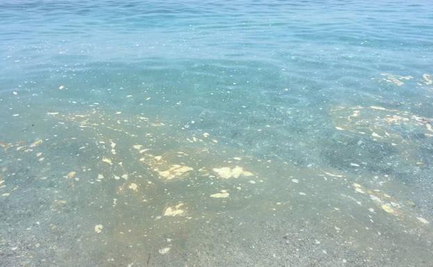 Quejas por la presencia de natas en las playas de Nerja