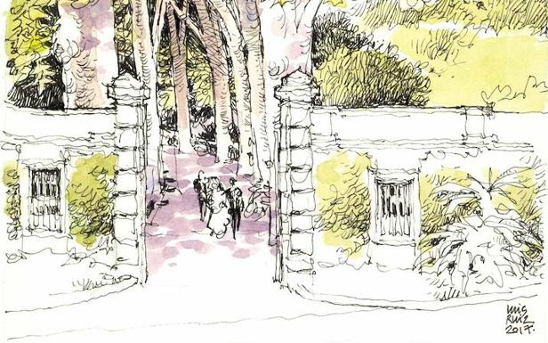 Málaga a trazos. A la sombra de los plátanos