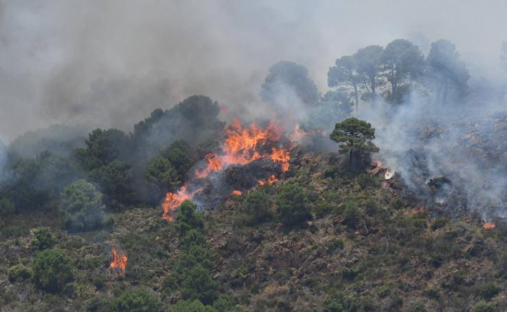 El incendio de Benahavís, en fotos