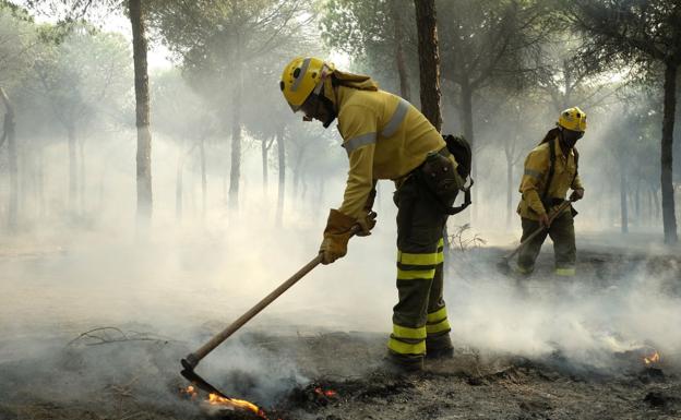 La UME prevé que el incendio junto a Doñana esté "totalmente controlado" este lunes