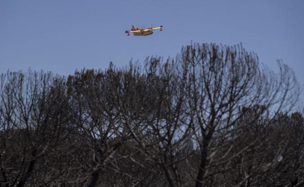 El director de Doñana cree improbable que el fuego afecte al parque nacional