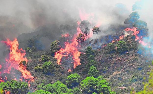 Benahavís se lleva la peor parte de una jornada con incendios también en Alozaina y Casarabonela