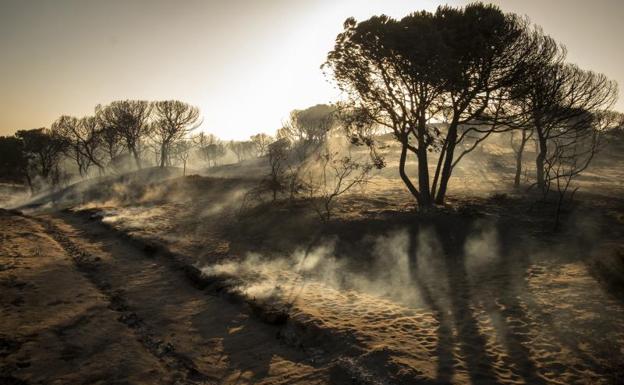 El incendio de Doñana queda controlado tres días después