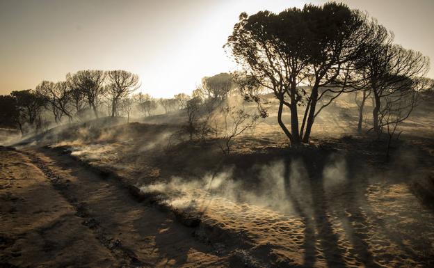 El incendio en Doñana se dará por estabilizado durante esta mañana