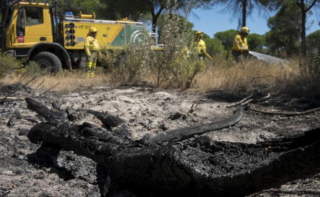 El incendio de Doñana ha quemado 8.486 hectáreas