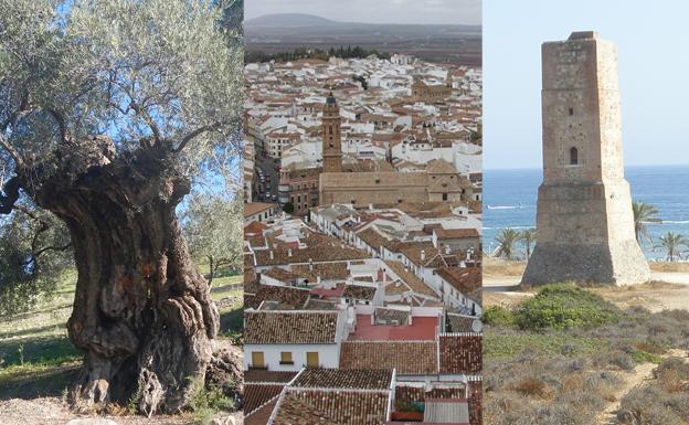 ¿Sabrías ubicar estas imágenes en el lugar de la provincia de Málaga al que pertenecen?