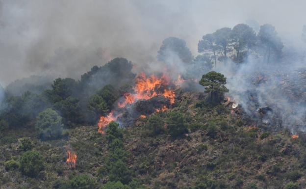 Un verano de máximo riesgo y pendiente de los vientos