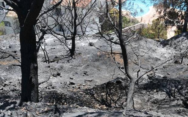 La mitad de las urbanizaciones de la Costa no tienen plan antiincendios