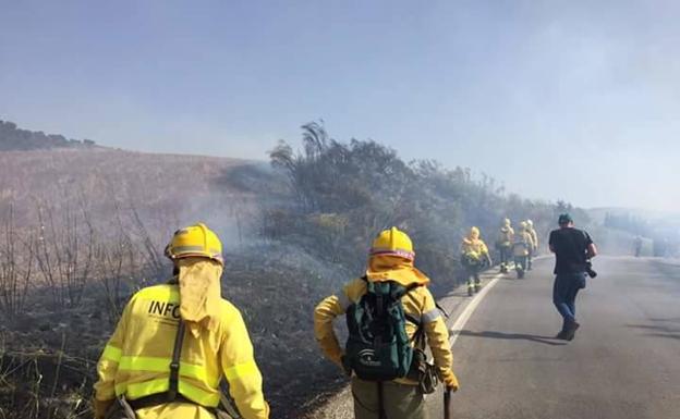 Declarados tres incendios en Ronda, Montecorto y Cañete La Real