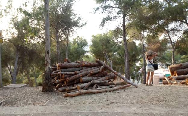 Las quejas por talas de Gibralfaro llegan a medio ambiente
