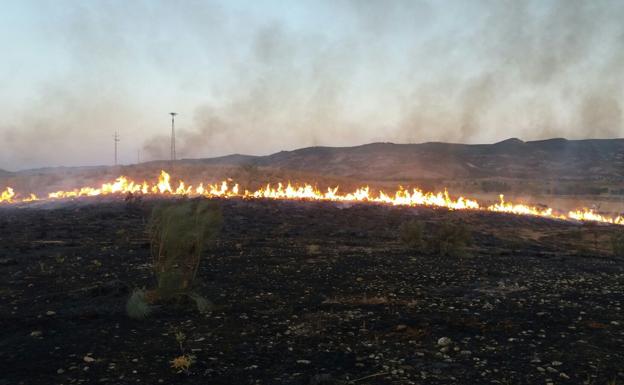 Extinguido el incendio forestal declarado en Antequera