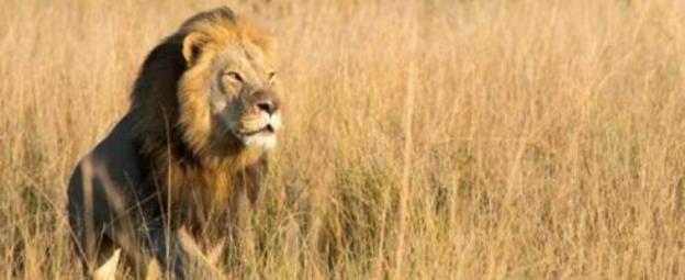A la caza del cazador de 'Xanda'