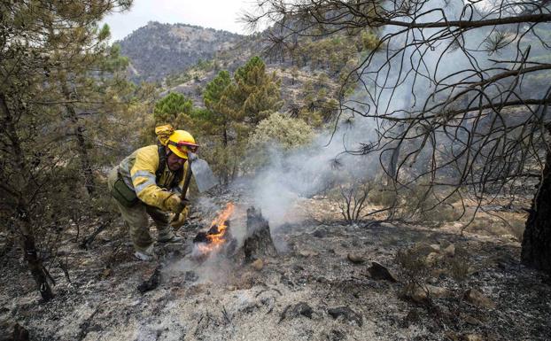 Acotado el incendio de Albacete, la mayoría de los vecinos desalojados ha regresado a sus casas