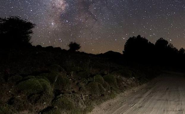 Noches con estrella