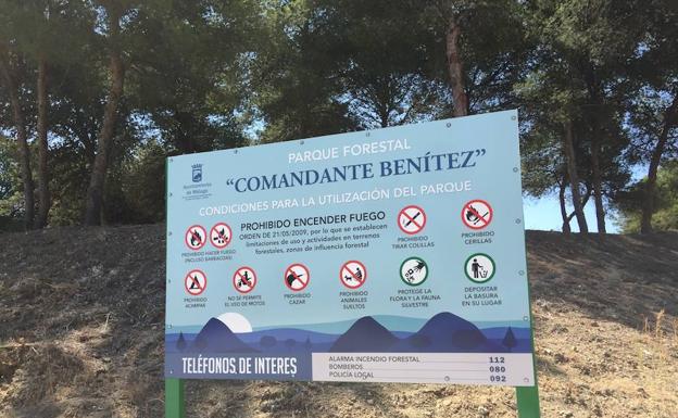 El Ayuntamiento encarga un estudio para mejorar la vegetación del Benítez