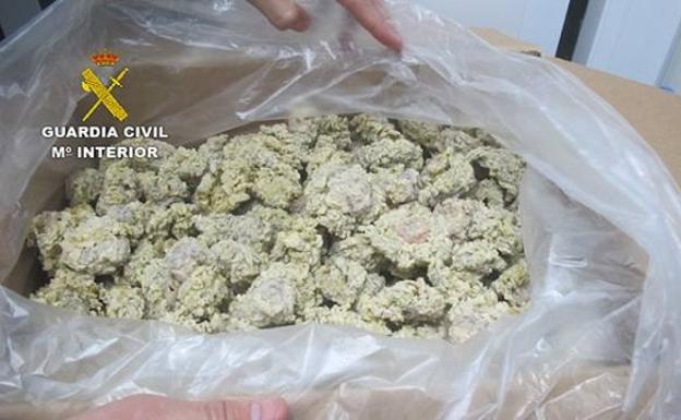 Intervienen tres toneladas de 'ortiguillas' capturadas y puestas a la venta ilegalmente